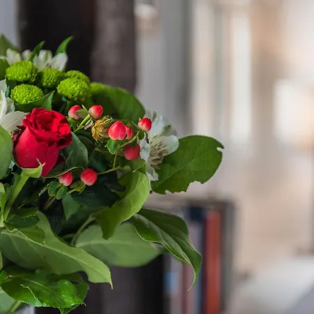 公寓式酒店 Cosycocoon 3*